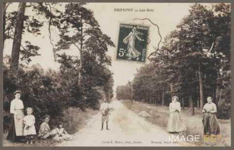 Route forestière (Brimont)
